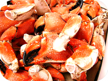 Stone Crab Claws (5 lbs.)